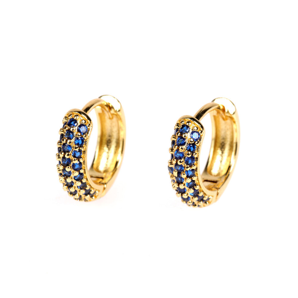 Wholesale Hip Hop Hoop Zircon Earrings